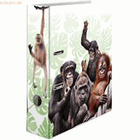 herma 10 x  Motivordner A4 70mm Exotische Tiere Affenbande