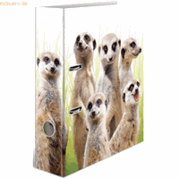 herma 10 x  Motivordner A4 70mm Exotische Tiere Erdmännchentruppe