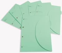 Tarifold collection Tarifold smartfolder, geperforeerde showtas, ft A4, pak van 6 stuks, groen
