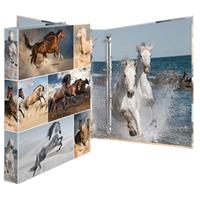 HERMA Animals Pferde Ringbuch 4-Ringe Motiv 3,5 cm DIN A4