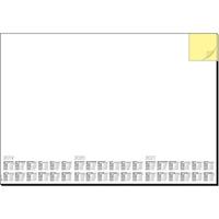 Sigel 2x Bureau onderleggers/placemats van papier 59.5 x 41 cm - Kalender 2019/2020/2021 - 30 vellen - Bureau beschermers - design memo white