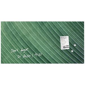 Sigel Glas-Magnettafel Artverum Palm Leaf (B x H) 91cm x 46cm Grün GL371