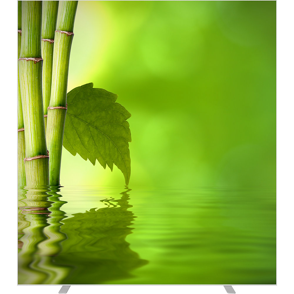 EasyScreen Scheidingswand , h x d = 1740 x 390 mm, met fotomotief, model zen 1, breedte 1600 mm