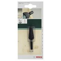 boschaccessories Bosch Accessories 2609255299 Houtrasp, cilindrisch-rond 1 stuk(s)