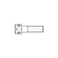 toolcraft Kruisgatschroeven M6 10 mm Sleuf DIN 404 Staal galvanisch verzinkt 100 stuks