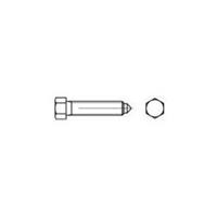 toolcraft Zeskantbouten M12 60 mm Buitenzeskant (inbus) DIN 564 Staal 25 stuks