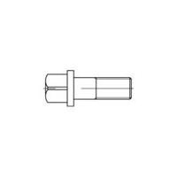 toolcraft Vierkantbouten M16 60 mm Vierkant DIN 478 Staal 10 stuks