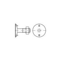 toolcraft Plaat schroeven M10 45 mm Buitenzeskant (inbus) DIN 15237 Staal 100 stuks