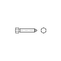 toolcraft Zeskantbouten M16 80 mm Buitenzeskant (inbus) DIN 564 Staal 10 stuks