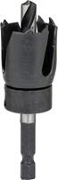 Gatenzaag 65 mm Bosch Carbon 2609256D07 1 stuks