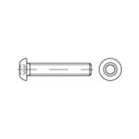 Lenskopschroeven M4 8 mm Binnenzeskant (inbus) ISO 7380 RVS A2 500 stuks toolcraft TO-5378115