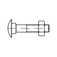 toolcraft Flachrundschraube M8 55mm Vierkant DIN 603 Messing 50St.