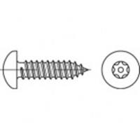 toolcraft Artikel 88114 A 2 Torx met pin DiebStahlhemmende schroeven, lenskop DIN 7981, plaatschr.-SCHR.DR., ISR en pen afmetingen: 4,8 x 16 (100 stuks) N/A 16