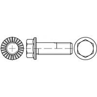 Zeskantbouten M12 60 mm Buitenzeskant (inbus) 88913 100 stuks toolcraft TO-5444547