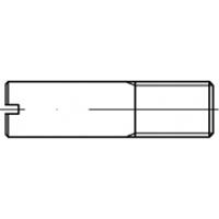 toolcraft TO-5394576 Tapeind M5 100 stuks