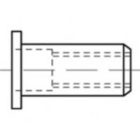 toolcraft Blindnietmutter M5 500St.