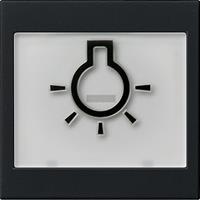 Gira Wip met lichtsymbool en indicatieveld mat zwart  0216005
