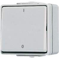 Jung 602 W - 2-pole switch surface mounted grey 602 W