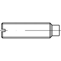 toolcraft TO-5435112 Draadpen M12 50 mm 50 stuks