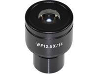 Optics Mikroskop-Okular 12.5 x Passend für Marke (Mikroskope) Kern