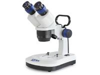 Stereomikroskop Binokular 40 x Auflicht, Durchlicht