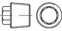 toolcraft TO-6855795 Sluitschroeven M30 1.5 mm Buitenzeskant (inbus) DIN 909 Staal 10 stuk(s)