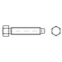 Sonstige Sechskantschraube mit Zapfen DIN 561 Stahl 22H/8.8 zn AM20x140