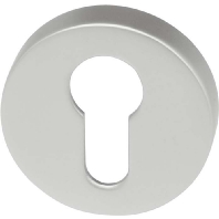 Assa Abloy effeff 492----1-----00 - Accessory for intrusion detection 492----1-----00