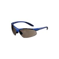 Promat - Schutzbrille daylight premium en 166 Bügel dunkelblau, Scheibe smoke Pol