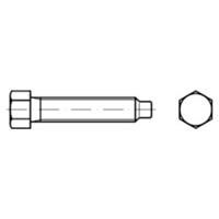 Sonstige Sechskantschraube mit Zapfen DIN 561 Stahl 22H/8.8 BM30x100