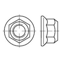 Sonstige 6kt.-muttern Flansch-nichtmetal. Einsatz, EN 1664 Stahl  8 galv.verz. M 8