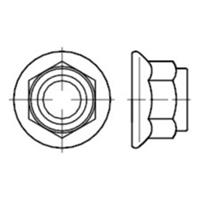 Sonstige 6kt.-muttern Flansch-nichtmetal. Einsatz, EN 1663 Stahl  8 galv.verz. M 5