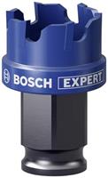boschaccessories Bosch Accessories EXPERT Sheet Metal 2608900494 Lochsäge 1 Stück 25mm 1St.