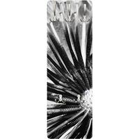 Bilderwelten Garderobe Blumen - Pusteblume Schwarz & Weiß - Schwarz Größe HxB: 139cm x 46cm