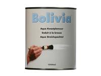 Bolivia aqua kwastplamuur 1 ltr