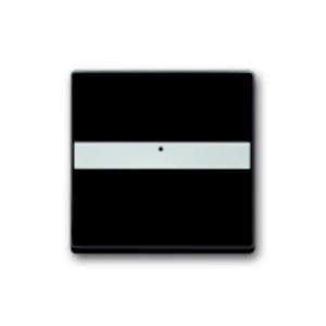 Busch-Jaeger schakelwip tekstkader met controlevenster Future Linear zwart mat