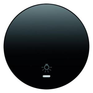 BERKER schakelwip controlevenster symbool licht R1/R3 zwart