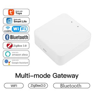 AFINTEK Mini Multimode Gateway Zigbee 3.0, Ble, Wifi & Sigmesh Bluetooth En Zigbee Gateway - Usb