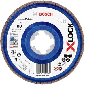 boschaccessories Bosch Accessories 2608619817 X551 Fächerschleifscheibe Durchmesser 125mm Bohrungs-Ø 22.23mm 1St.