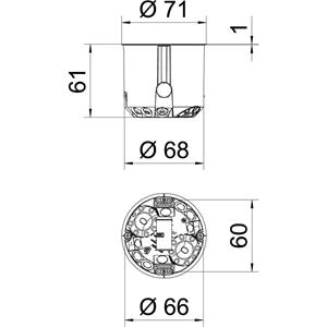 obobettermann OBO Bettermann 2003814 Geräte-Verbindungsdose halogenfrei (Ø x T) 68mm x 61mm 250St.