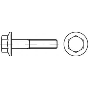 TOOLCRAFT TO-5391402 Sechskantschrauben M12 80mm Außensechskant 50St.