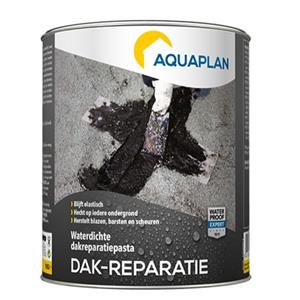 Aquaplan Dakreparatie 1kg