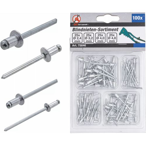 BGS Do it yourself Bgs Assortiment Popnagels Ø 2,4 - 4,8 Mm (100 St) (bgs-75846)