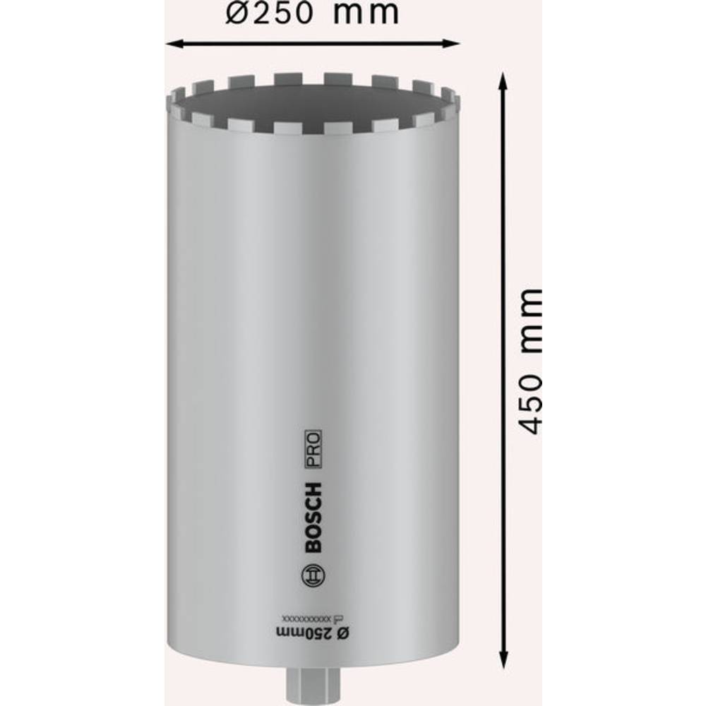 Bosch Professional 2608601801 2608601801 Gatenzaag 250 mm 1 stuk(s)