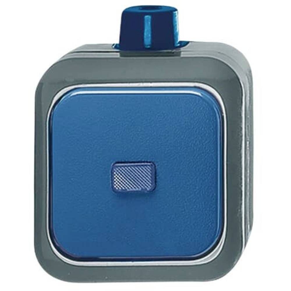 ABB 2CKA001084A0797 Wiptoets IP66 Blue