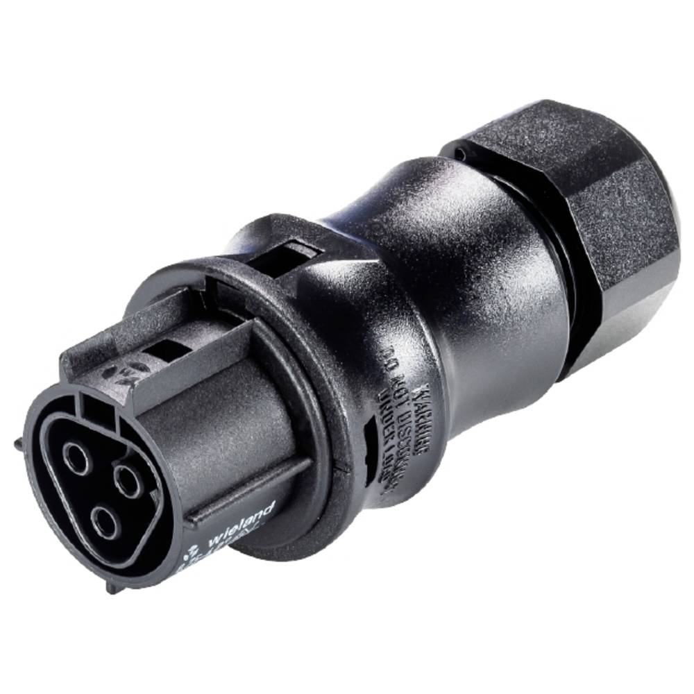 Wieland Electric 96.031.4053.1 Steekverbinder Zwart