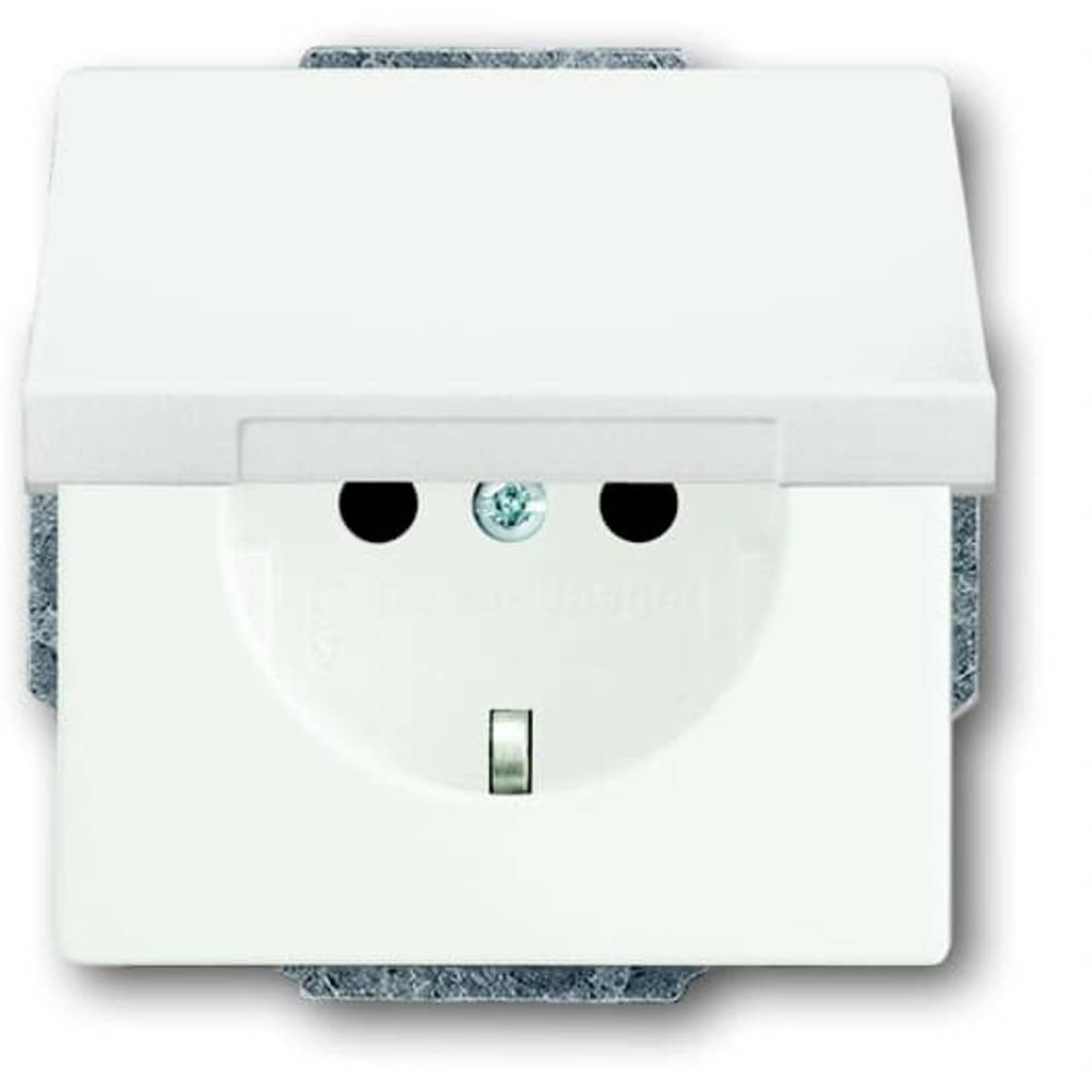 ABB 2CKA002018A1494 Apparaatinzetstuk IP20 Verkeerswit, Wit