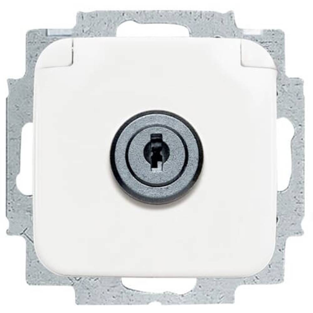 ABB 2CKA002018A1479 Apparaatinzetstuk IP20 Zuiver wit (RAL 9010), Wit