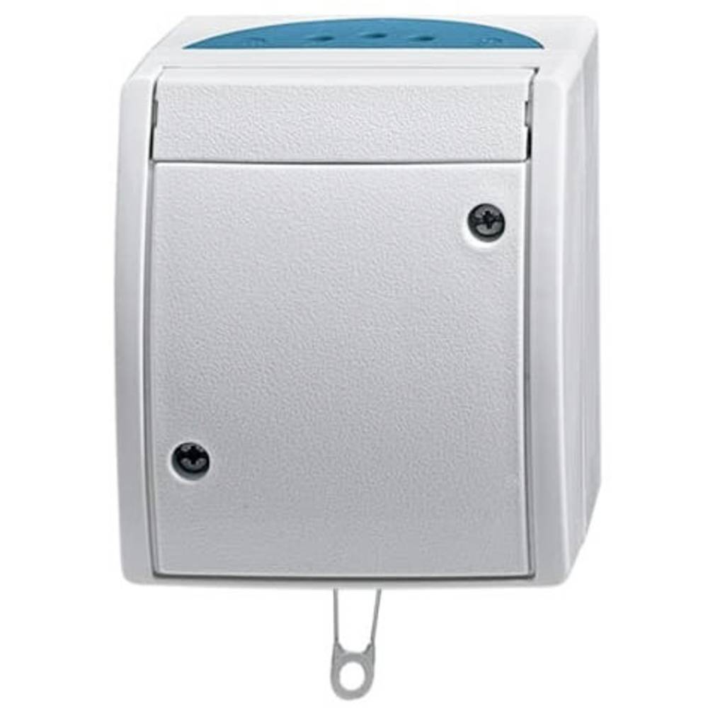 ABB 2CKA001383A0141 Schakelaar IP44 Grijs-wit (RAL 7035), Blauw-groen