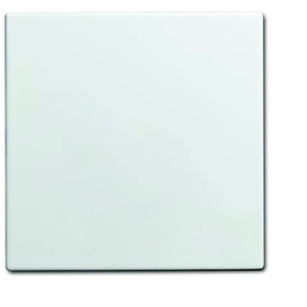 ABB 1576 C-914 Blindafdekking Afdekking Wit, Zuiver wit (RAL 9010) 1 stuk(s)